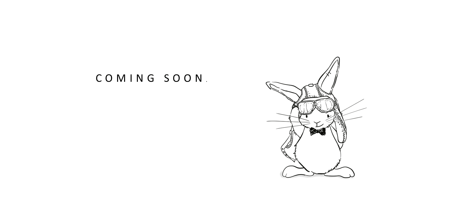Bunnies maattabel 2025